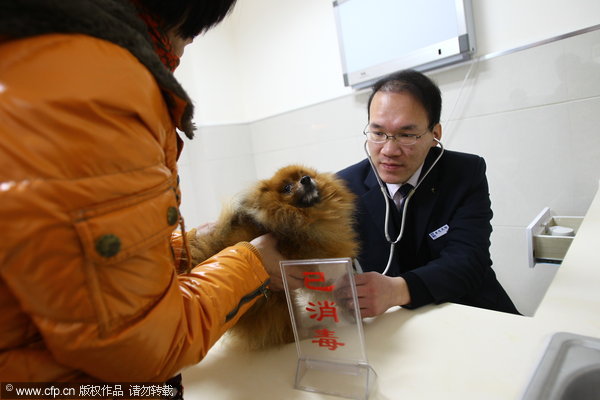 Pets pampered at 5-star hospital