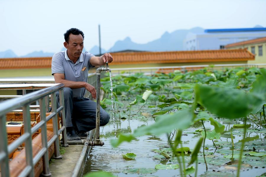 Roof garden in Liuzhou