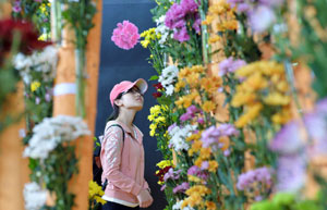 Rose flowers processed in Yunnan