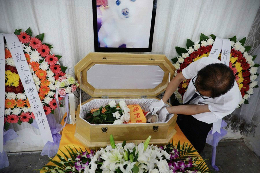 Funeral service puts deceased pets to rest with style