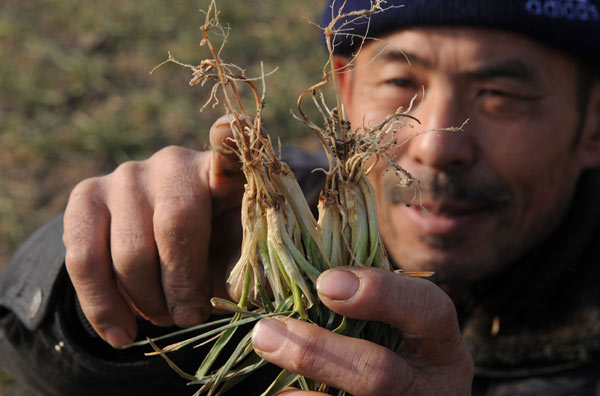 Millions face water shortage in China