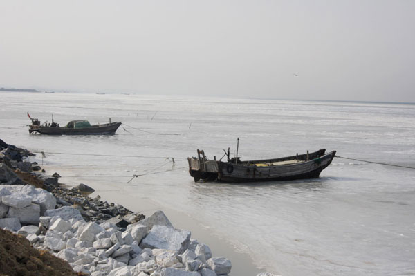 Early sea ice forces fisherman to rush scallop harvest