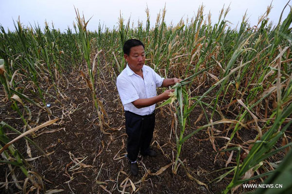 Lingering drought hits Hubei