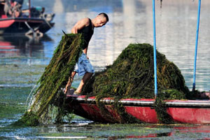 Garbage dump turns water into poison