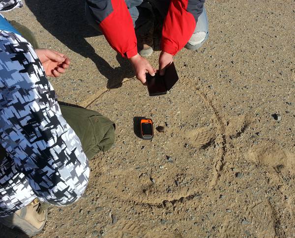 Meteorite madness in an alien landscape