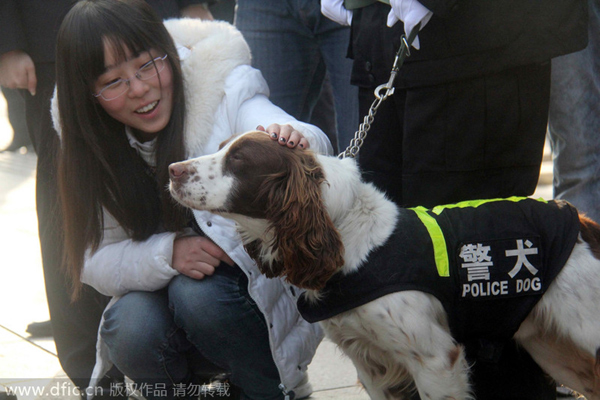 Police reveal role dogs play in fighting crime