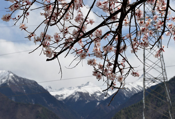 New city to be established in China's Tibet