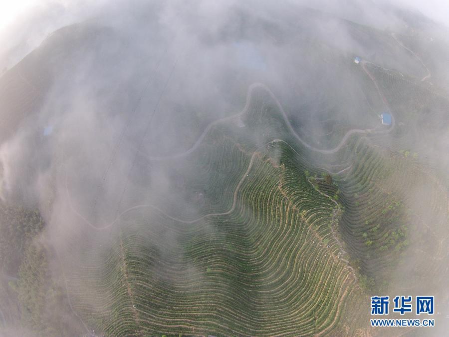 April blooms across China