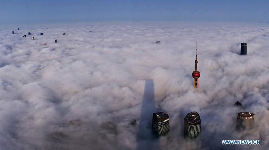 Rising above the clouds: Shanghai's landmark skyscrapers