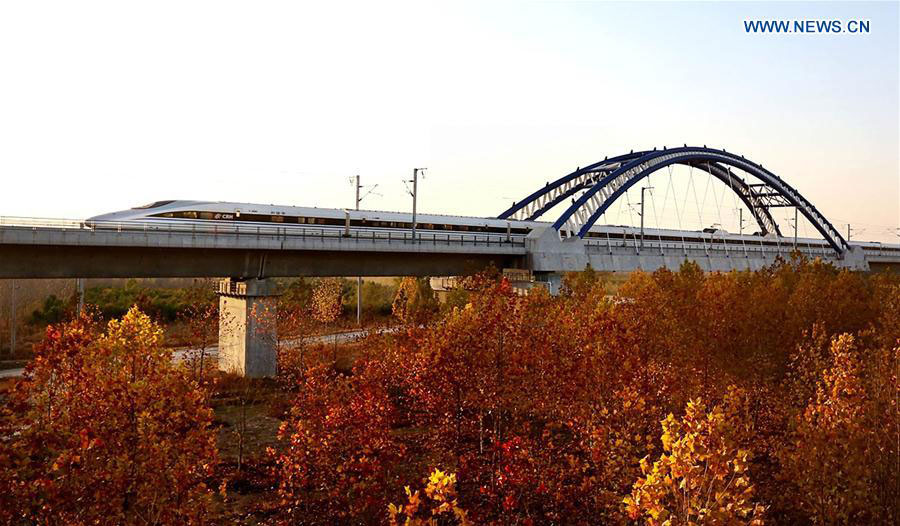 China has world's largest high-speed rail network