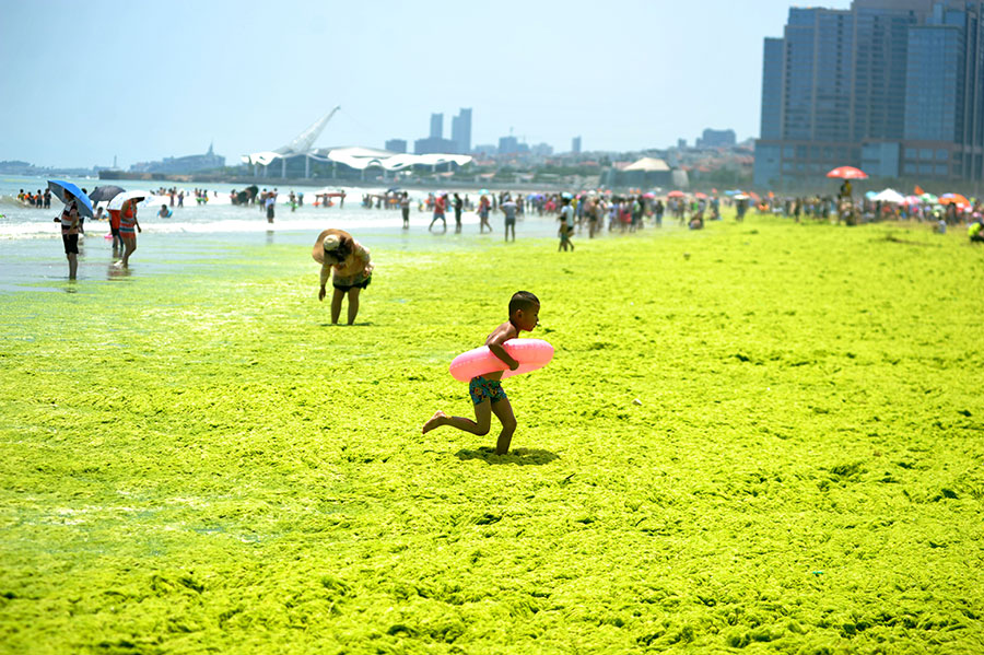 Ten photos from around China: July 8-14