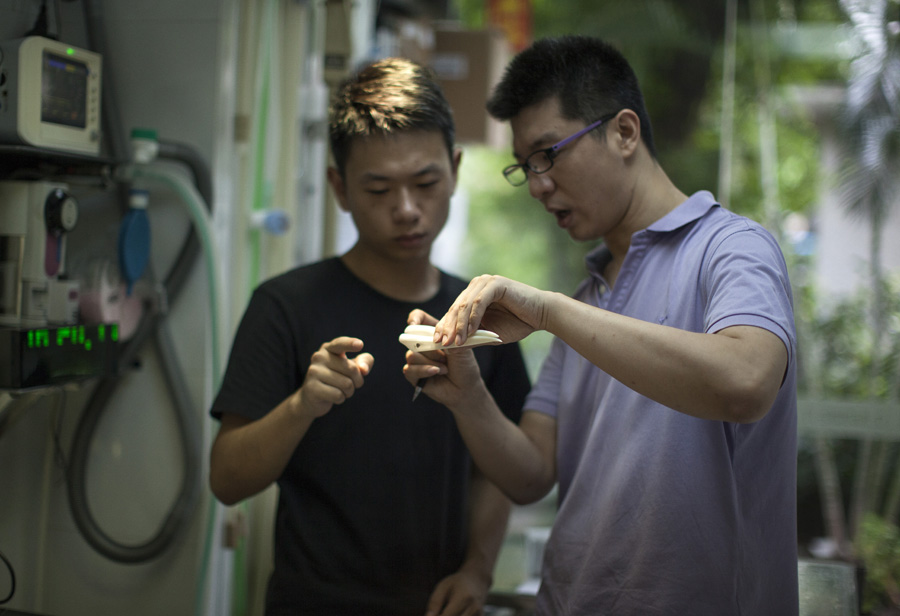 3D-printing helps red-crowned crane get new beak