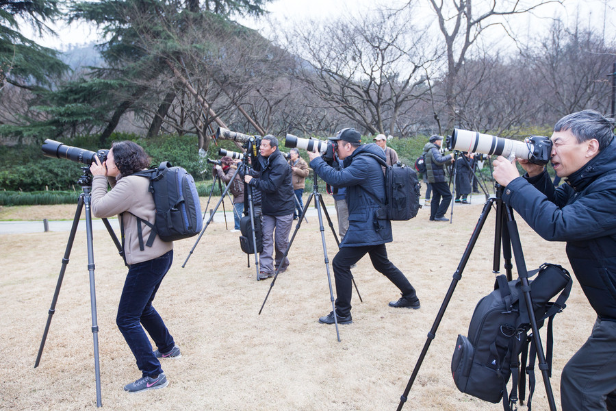 Ten photos from around China: Feb 3 - Feb 9