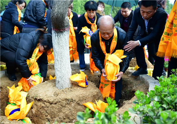 Ashes are transformed into new green life