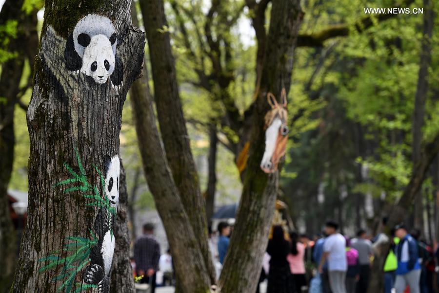 Fantastic 'tree paintings' seen in Anhui province