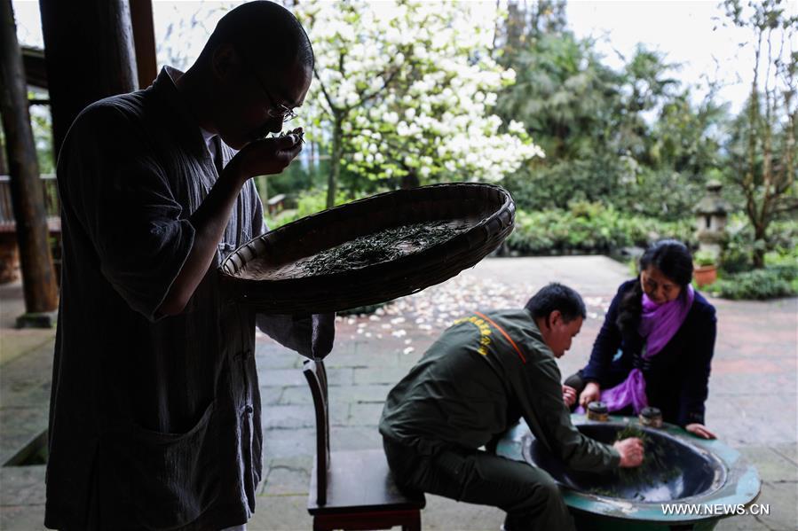 Organic tea gardens developed on Emei mountain in SW China