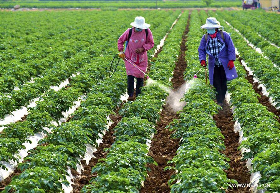 Int'l Labor Day in China