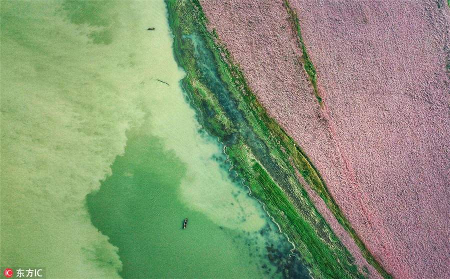 Ten photos from across China: Oct 27-Nov 2