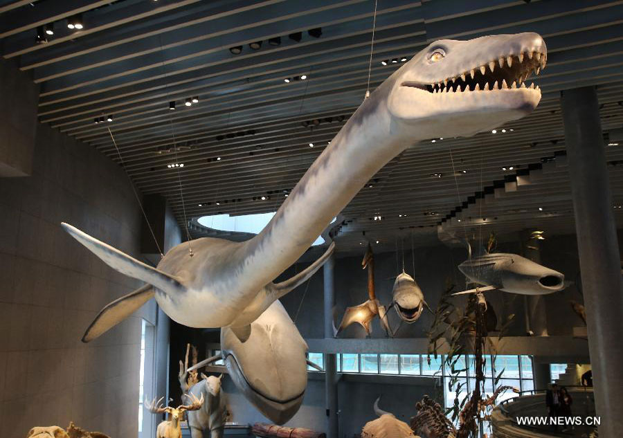 Natural History Museum opens in Shanghai