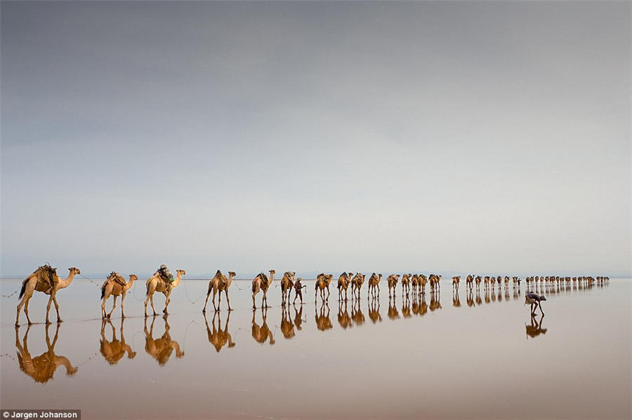 Photograph portraying Chinese fishermen wins top prize