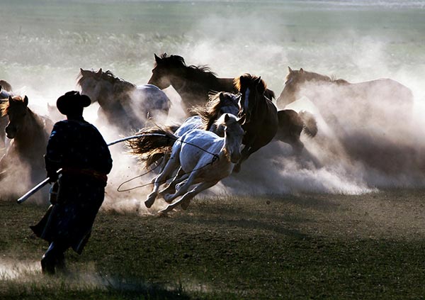 Modern Chinese photographs on display