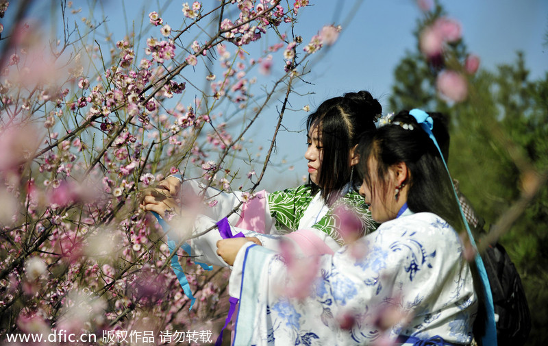 Luoyang traditional flower festival