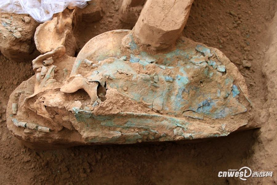 Rare horse and chariot pit found in Shaanxi