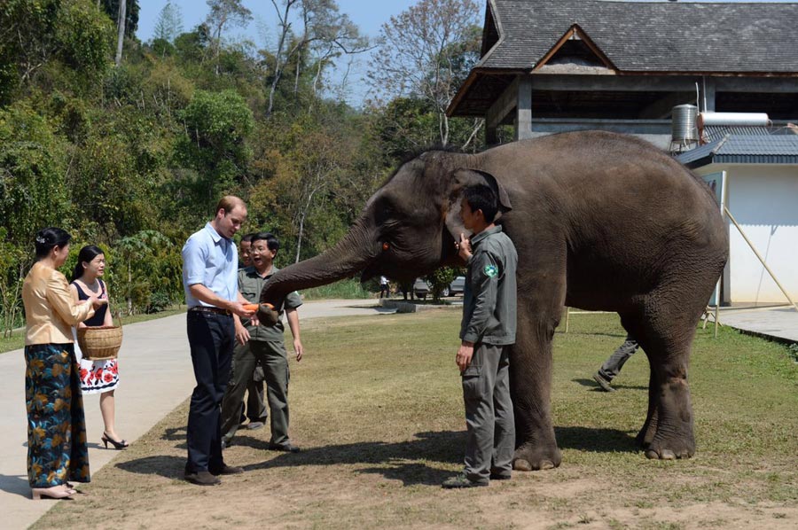 Prince William visits Asian elephant park