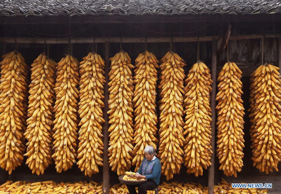 Scenery of autumn harvest around China