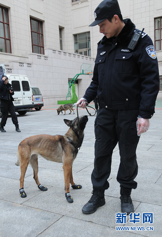 警犬“助陣”兩會安保工作：大會堂內(nèi)細致檢查