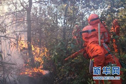 云南省玉龍縣森林大火已基本撲滅 火災(zāi)原因在調(diào)查中