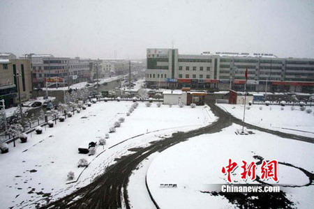 張家口壩上地區(qū)四月飛雪 農(nóng)民稱“及時(shí)雪”