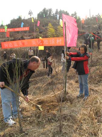 百名外國專家齊聚銀山參加植樹活動