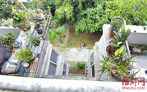 臺風“蘇力”12日影響福州 小心頭頂上的花盆