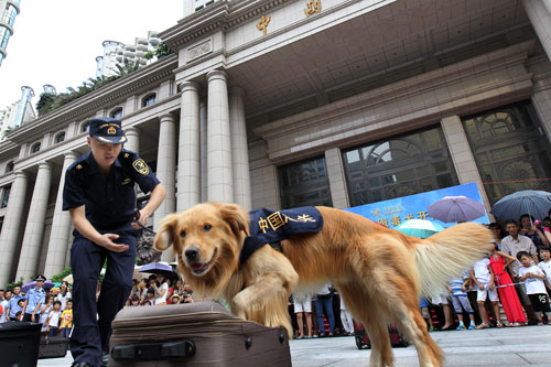 廣州市民與海關(guān)“明星緝毒犬”親密接觸