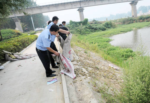 河南唐河破獲收購青蛙窩點 萬余只青蛙被放生