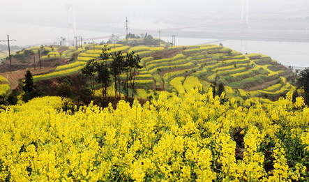 三峽庫(kù)區(qū)春來(lái)早