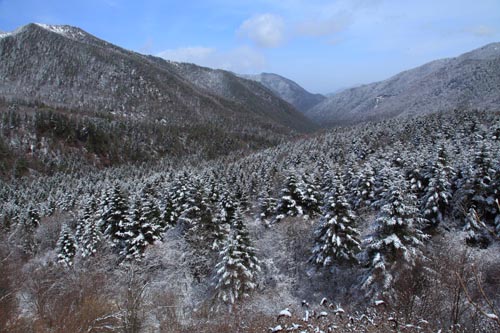 強冷空氣致神農(nóng)架驟降“桃花雪”