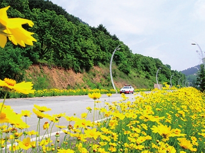 集安境內(nèi)集錫公路兩側風景亮麗