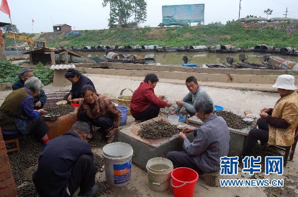 國家級濕地保護區(qū)龍感湖因旱被迫延長禁漁期(圖)