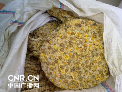 江蘇射陽每年200噸毒菊花入市 商販稱無人檢測