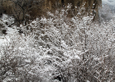 北京迎來(lái)入冬后第二場(chǎng)雪 冬日京城八大賞雪勝地