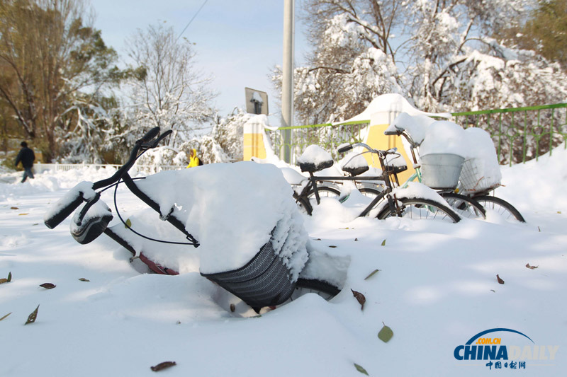 北京延慶遭遇52年來(lái)最大降雪 抗雪救災(zāi)有序進(jìn)行