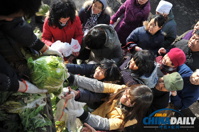 山西太原：愛(ài)心大白菜 免費(fèi)送市民