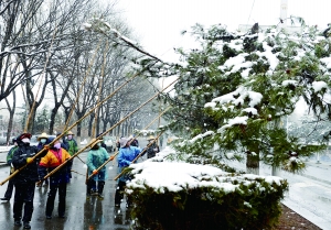 網(wǎng)友吐槽北京降“土加雪”：路邊汽車泥痕明顯