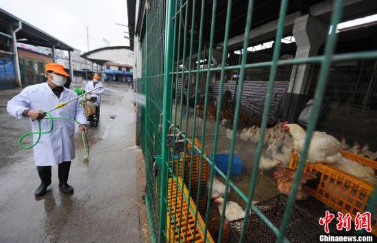 全國報告18例人感染H7N9禽流感確診病例 6人死亡