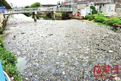 福建一河水污染發(fā)臭滋生蚊蟲(chóng) 居民不敢開(kāi)窗(圖)