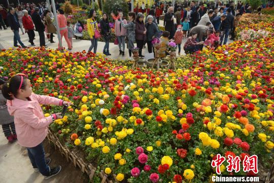 山西民眾踏青扎堆 花卉生態(tài)園日接游客上萬(wàn)