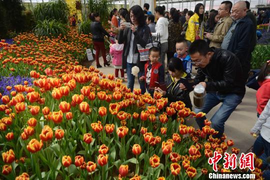 山西民眾踏青扎堆 花卉生態(tài)園日接游客上萬(wàn)