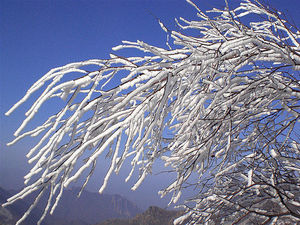 京城雪紛飛 細(xì)數(shù)十處最具京味賞雪地